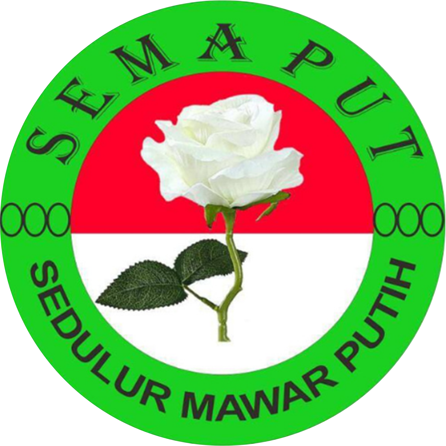 MAWAR PUTIH INDONESIA